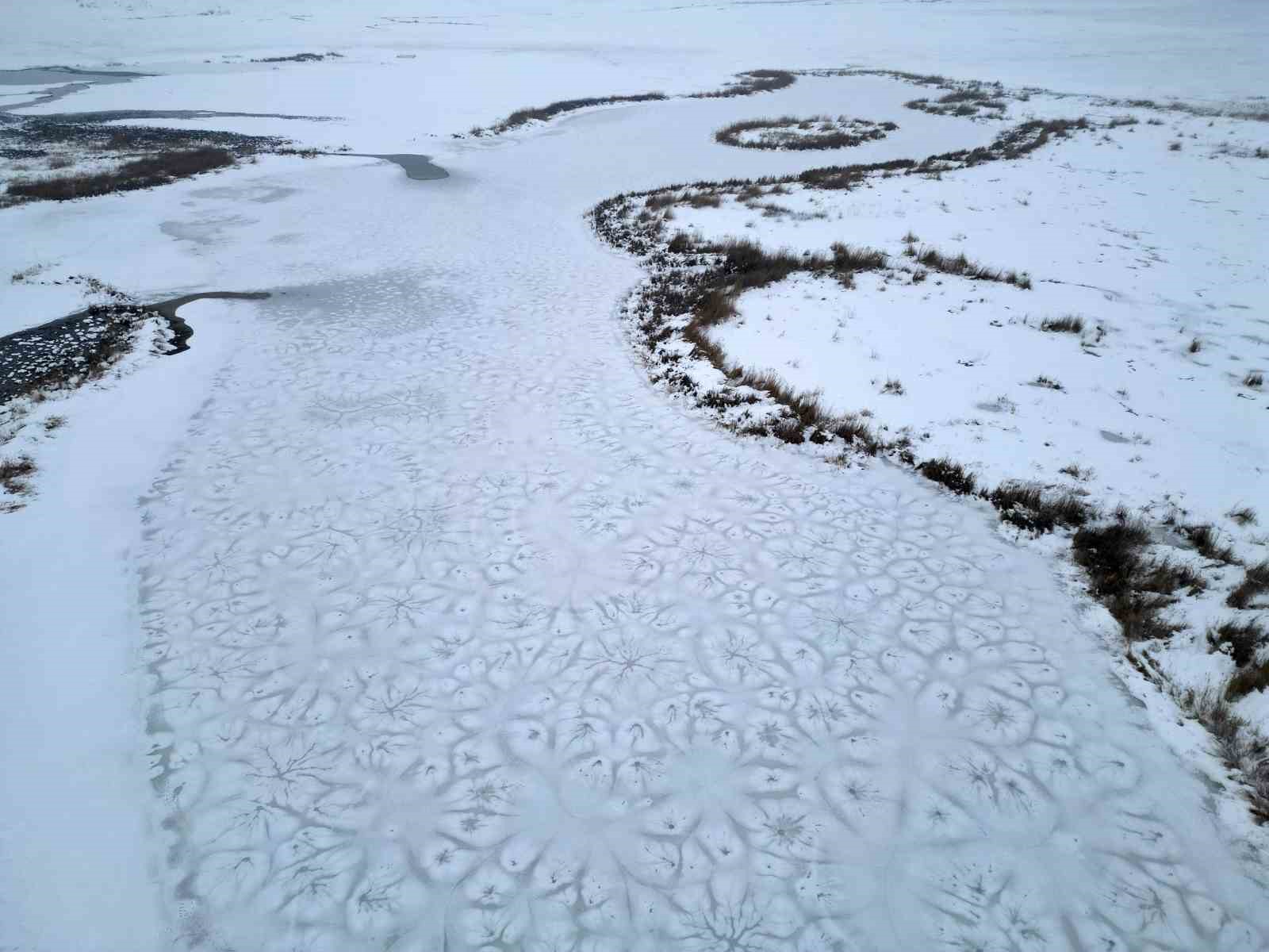 Doğada hayatta kalma mücadelesi
