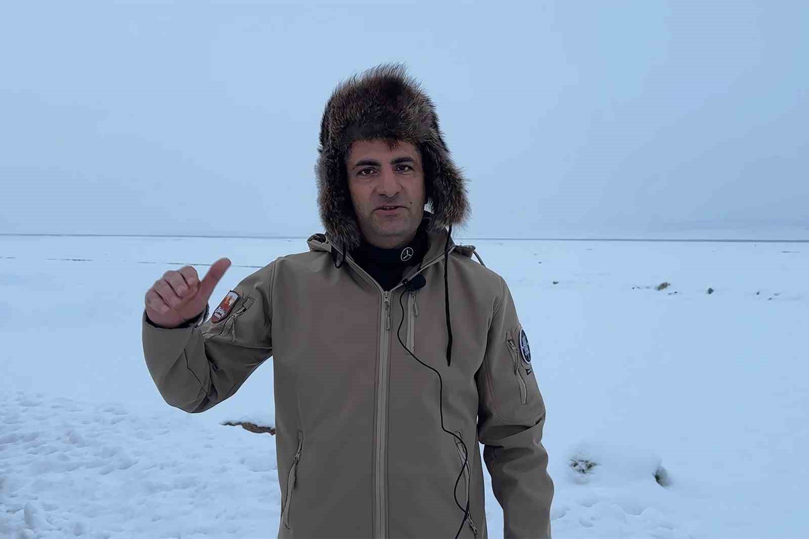 Doğada hayatta kalma mücadelesi
