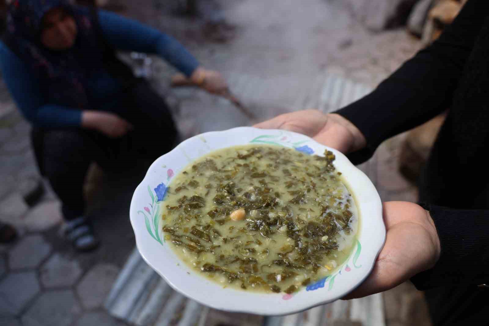 Doğadaki zehirli ot kara kazanda şifaya dönüşüyor
