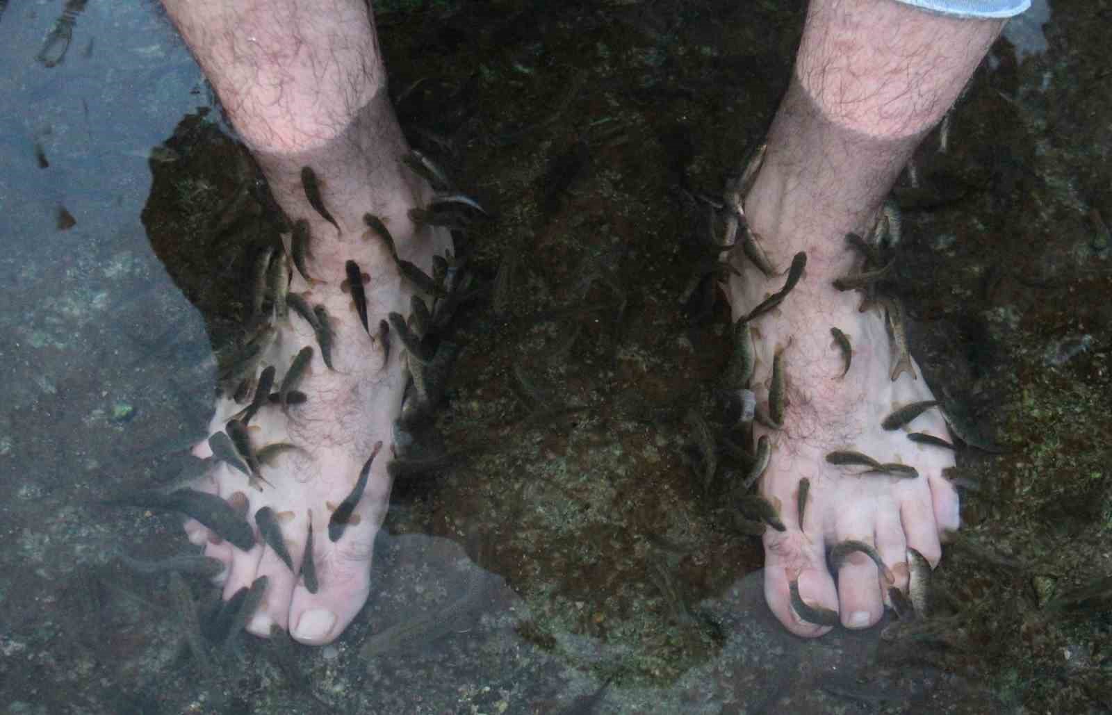 Doğal şifa kaynağı ’Kangal Balıklı Göl’ yenileniyor
