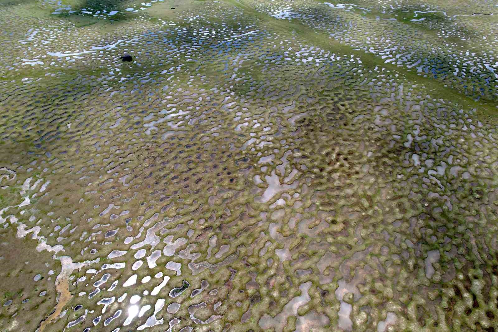 Doğanın sanata dönüştüğü nokta: Menderesler göz kamaştırdı
