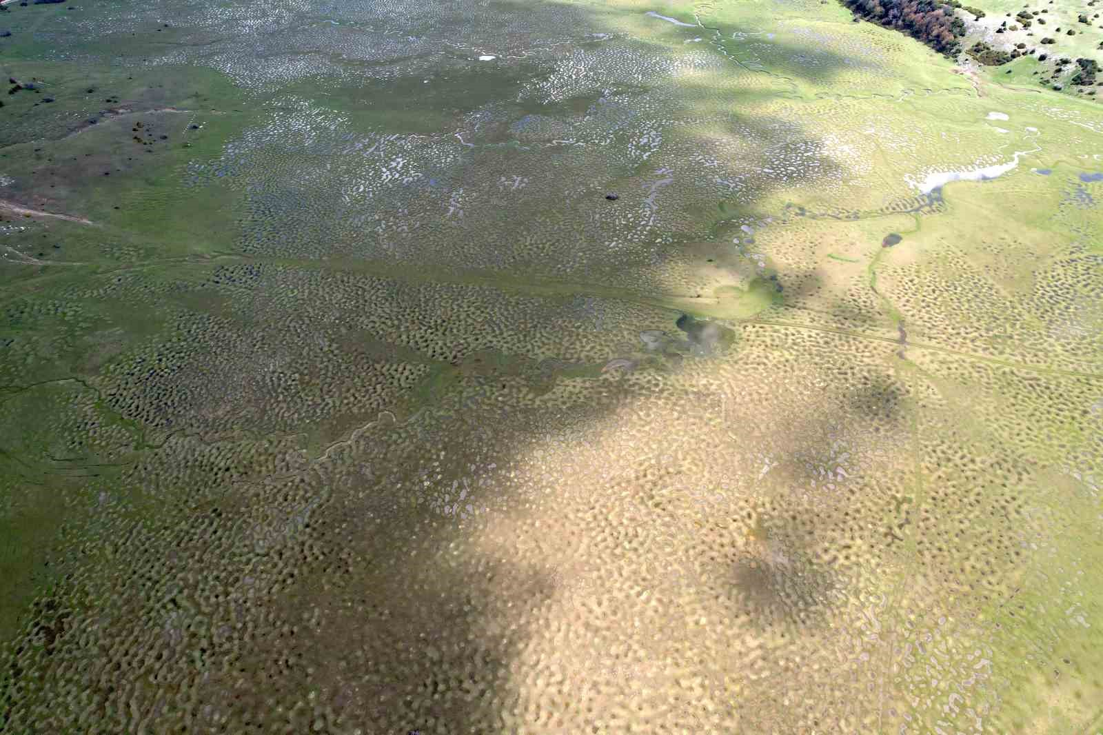 Doğanın sanata dönüştüğü nokta: Menderesler göz kamaştırdı
