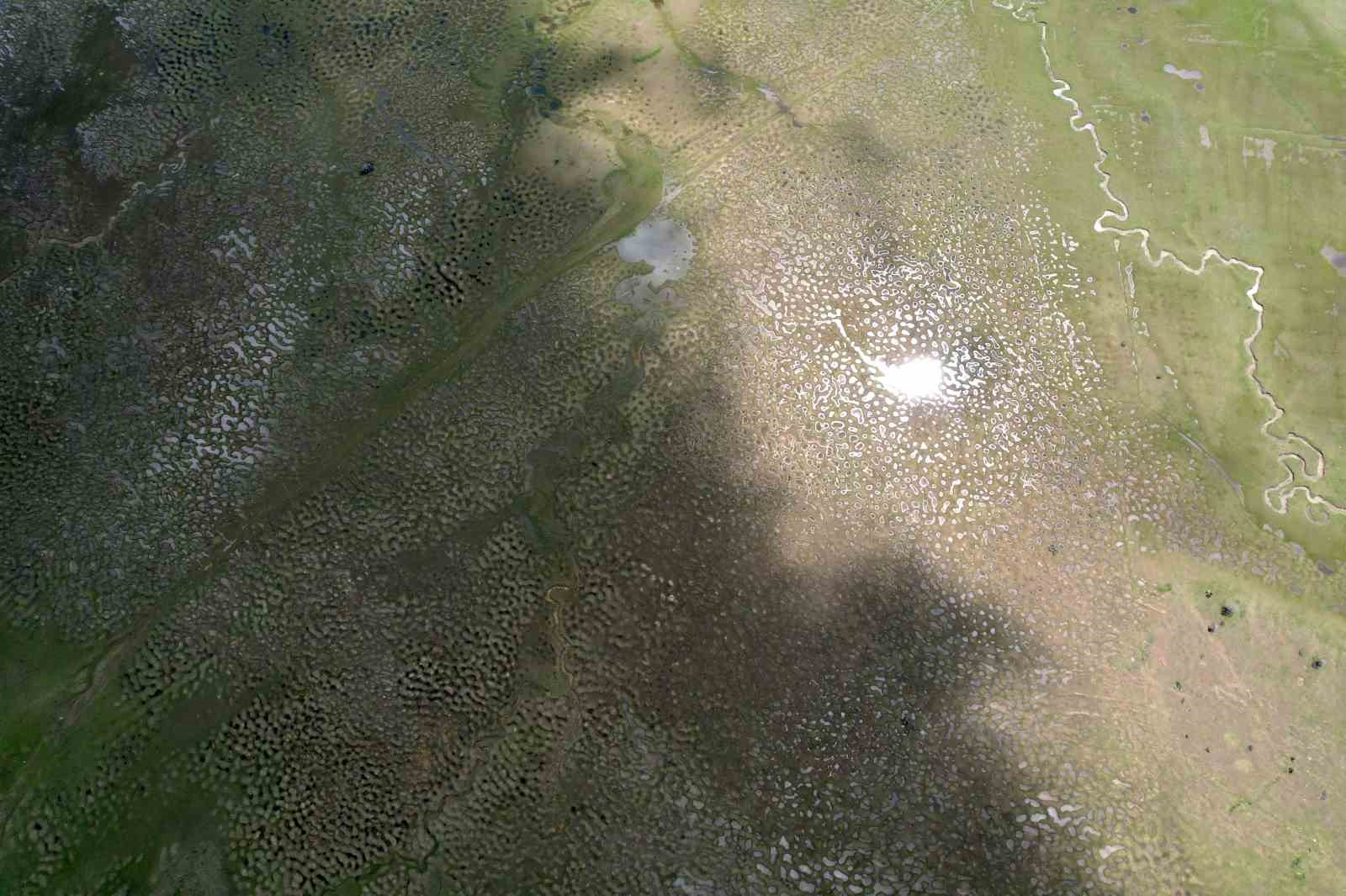 Doğanın sanata dönüştüğü nokta: Menderesler göz kamaştırdı
