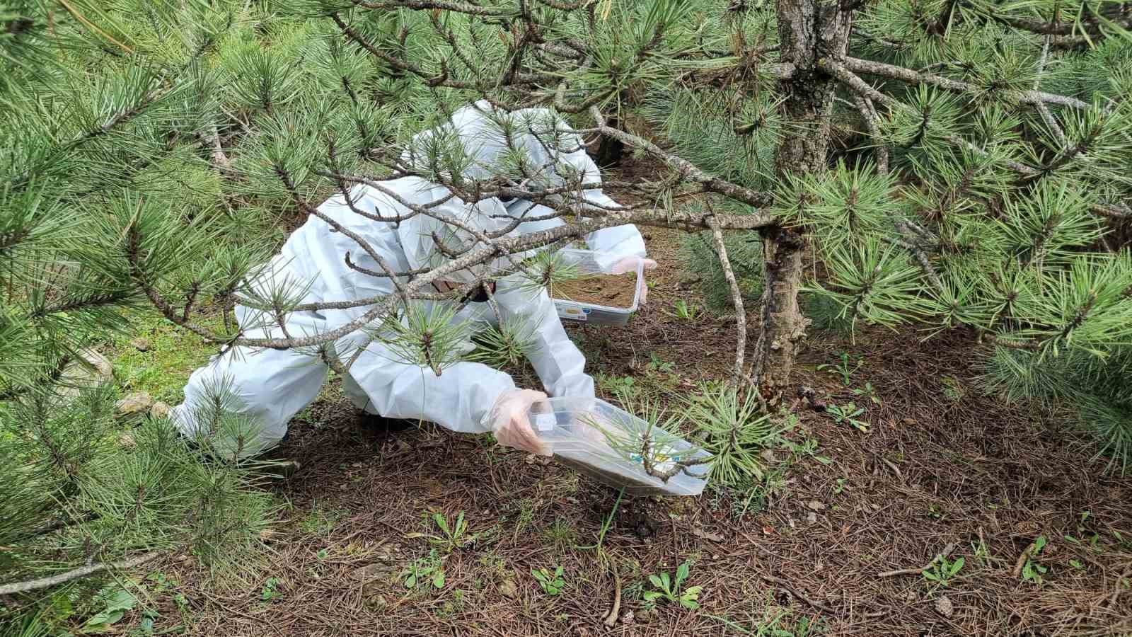 Doğanın sessiz kahramanları görev başında
