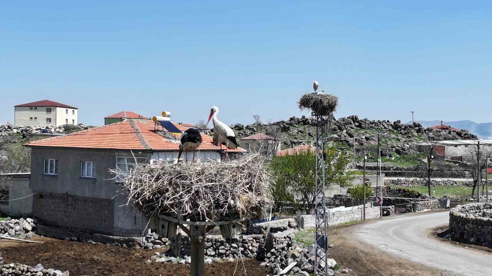 Doğanın uyanışı, Hürmetçi Sazlığı’nda sahneleniyor
