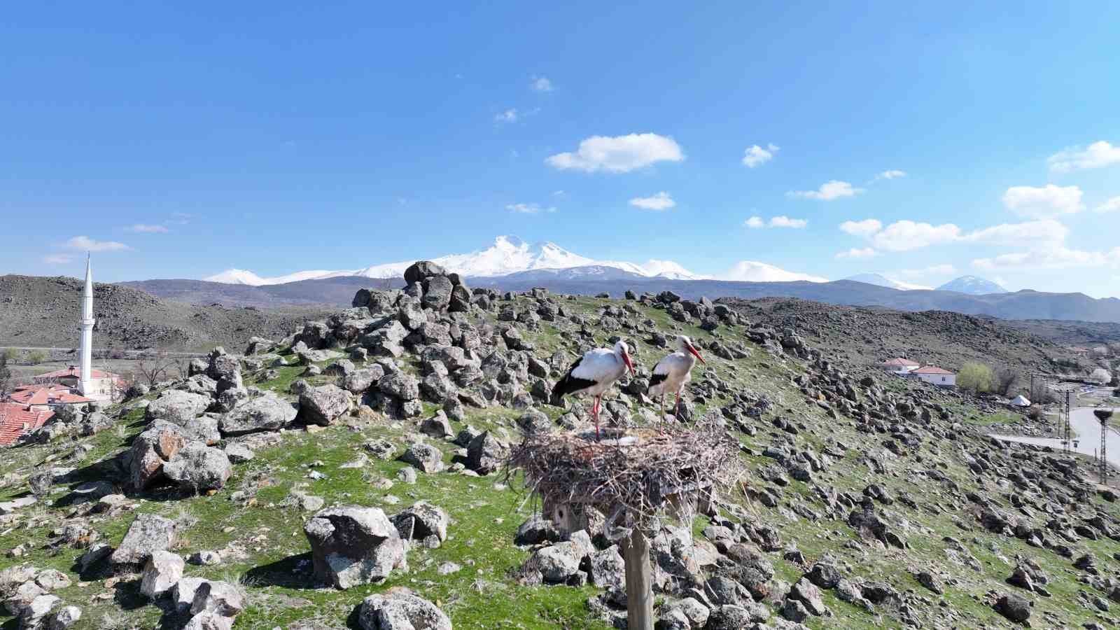 Doğanın uyanışı, Hürmetçi Sazlığı’nda sahneleniyor
