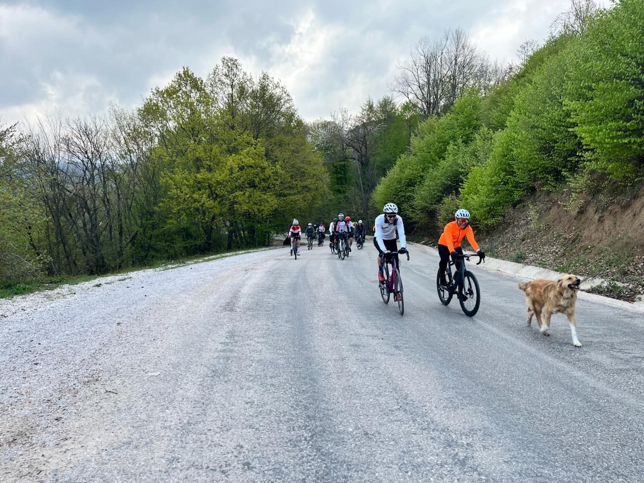 Doğaseverler Mysia Yolları’nın izinde
