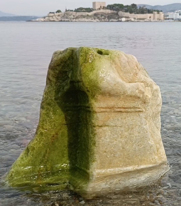 Doğaseverler Yılancıburnu’nun önemine dikkat çekti
