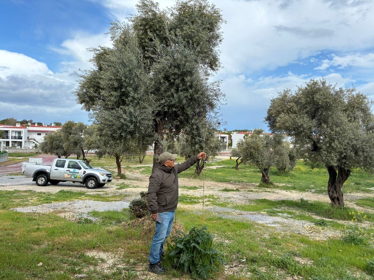 Doğaseverlerden Tülüşah için "acil koruma" çağrısı
