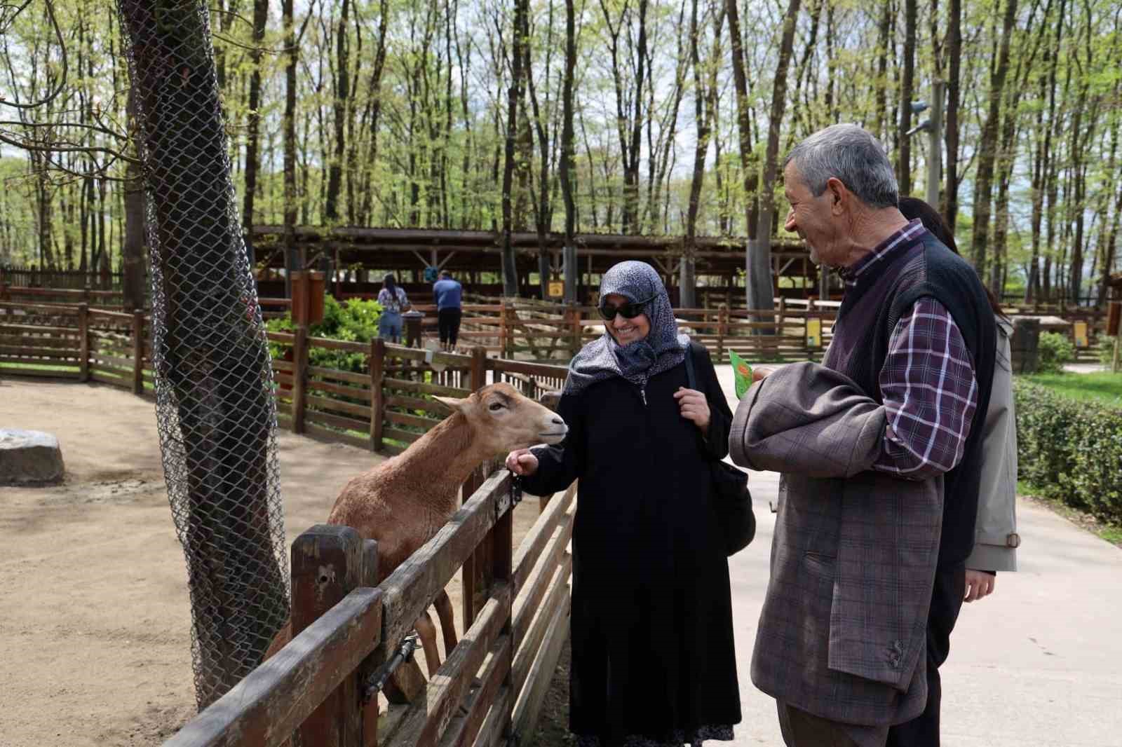 Doğaseverlerin uğrak noktası Ormanya bahara "merhaba" dedi
