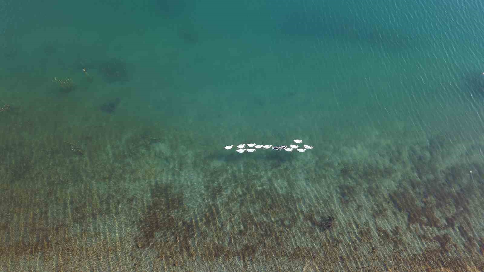 Doğu Anadolu’da kar, Avrupa manzaralarını anımsatıyor
