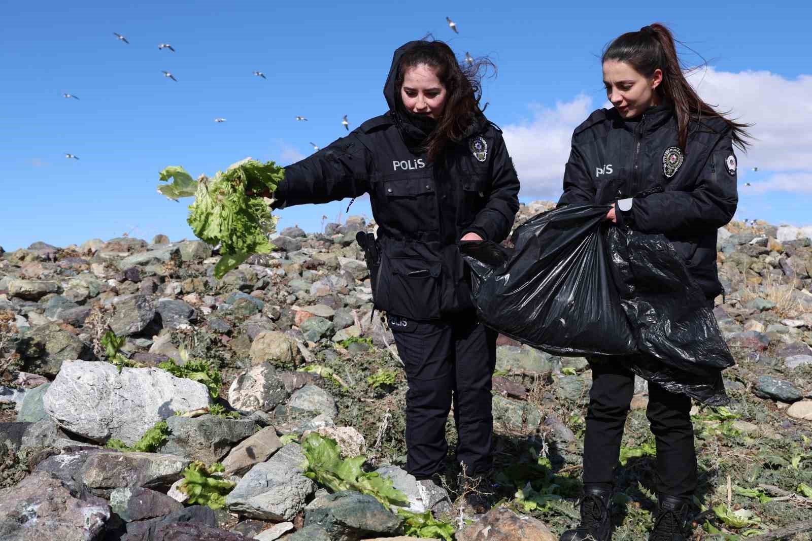 Doğu’nun gizli denizinde şefkat eli: Polis ekipleri martı ve tavşanları unutmadı
