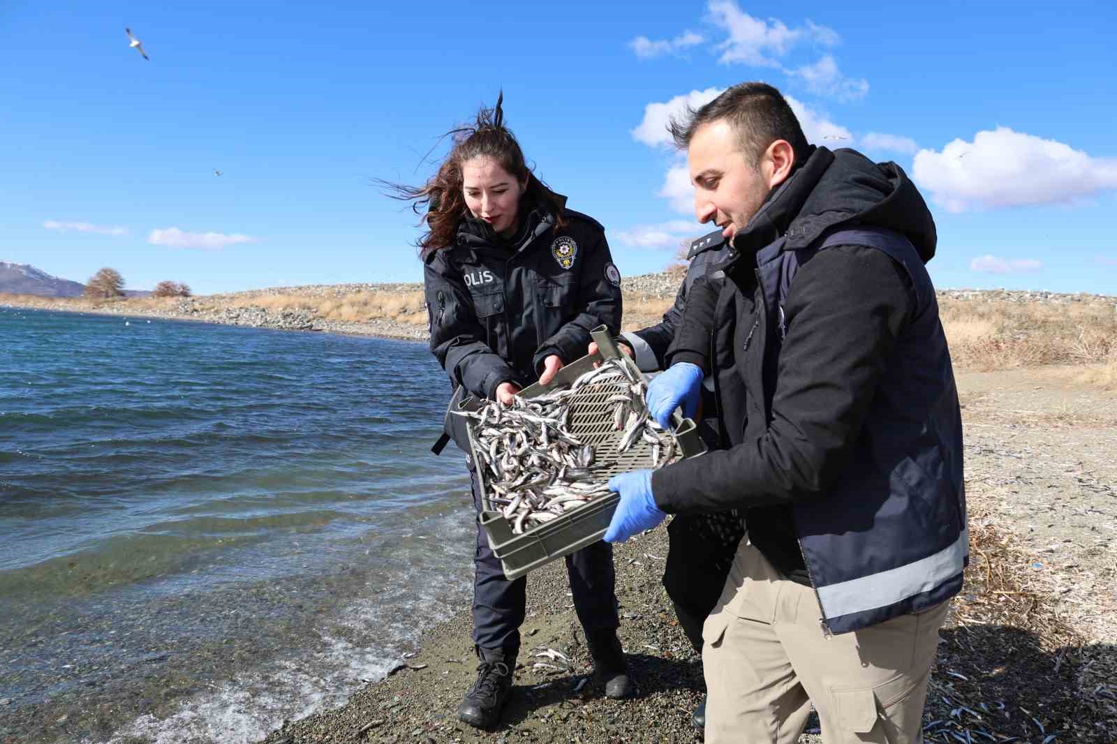 Doğu’nun gizli denizinde şefkat eli: Polis ekipleri martı ve tavşanları unutmadı
