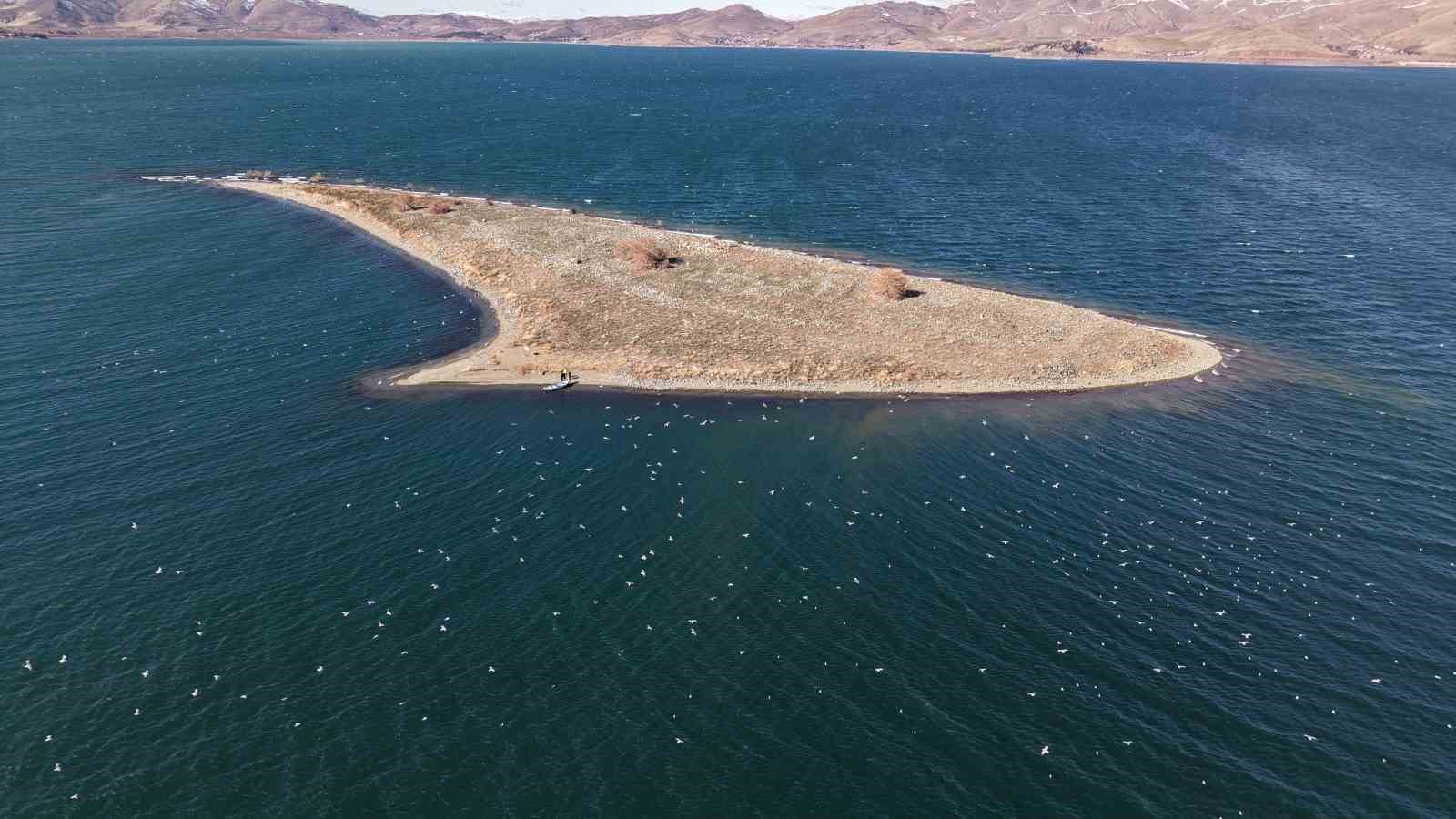 Doğu’nun gizli denizinde şefkat eli: Polis ekipleri martı ve tavşanları unutmadı
