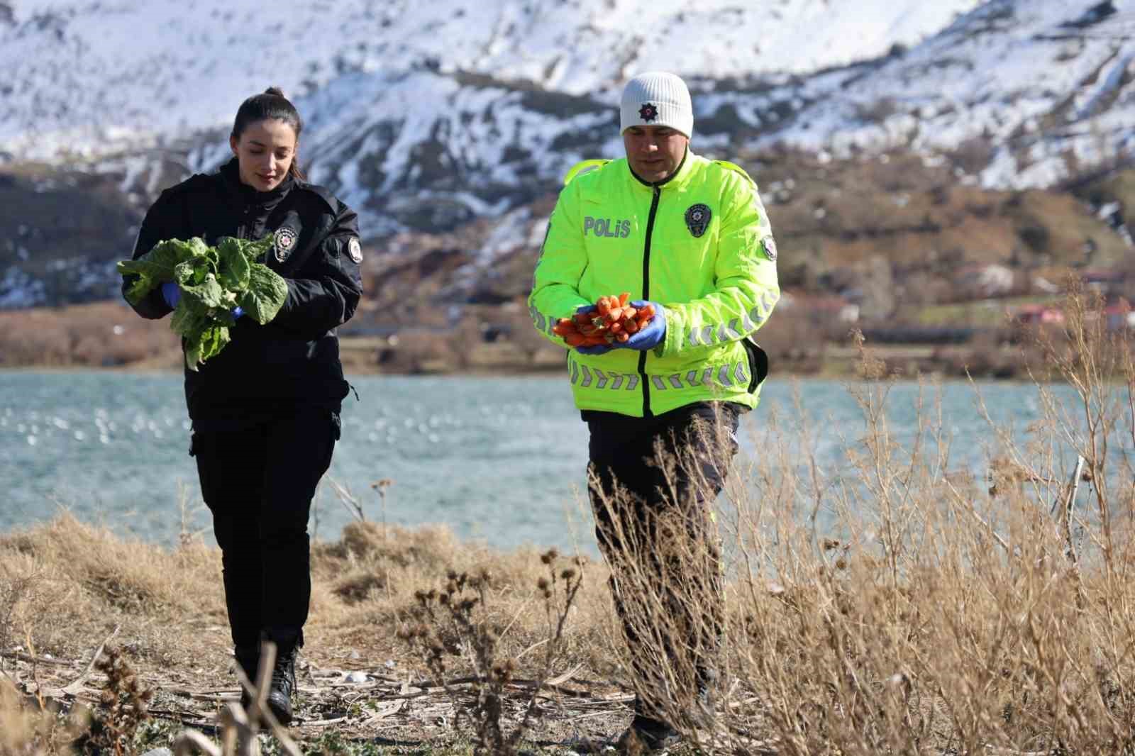 Doğu’nun gizli denizinde şefkat eli: Polis ekipleri martı ve tavşanları unutmadı
