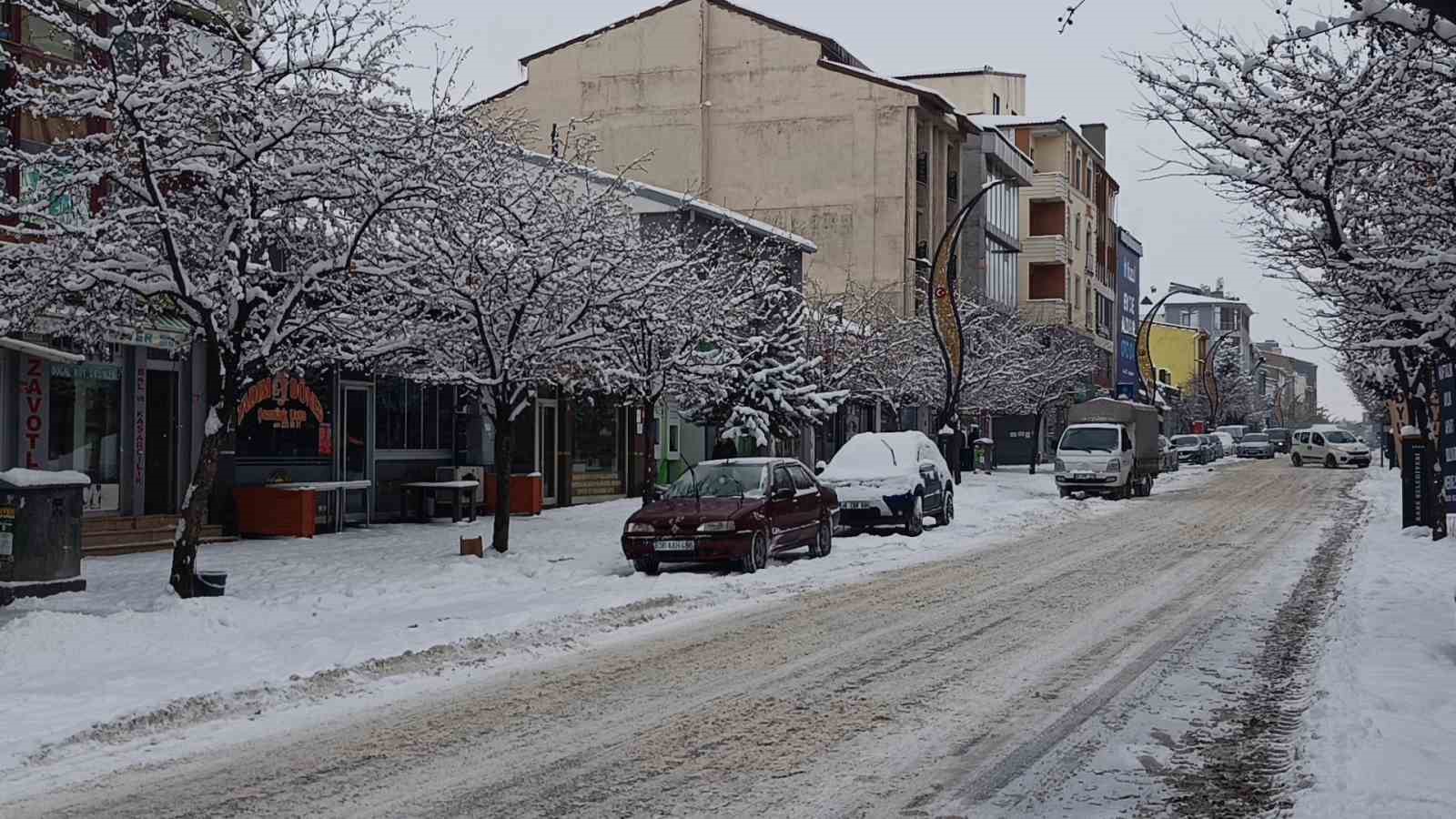 Doğu’nun incisi Kars, beyaz gelinliğini giydi: Beyaza bürünen kent havadan görüntülendi
