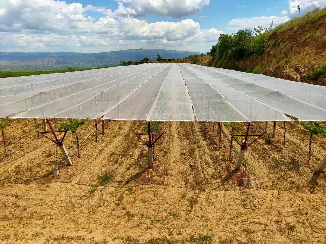 Dolu korkusuna fileli önlem
