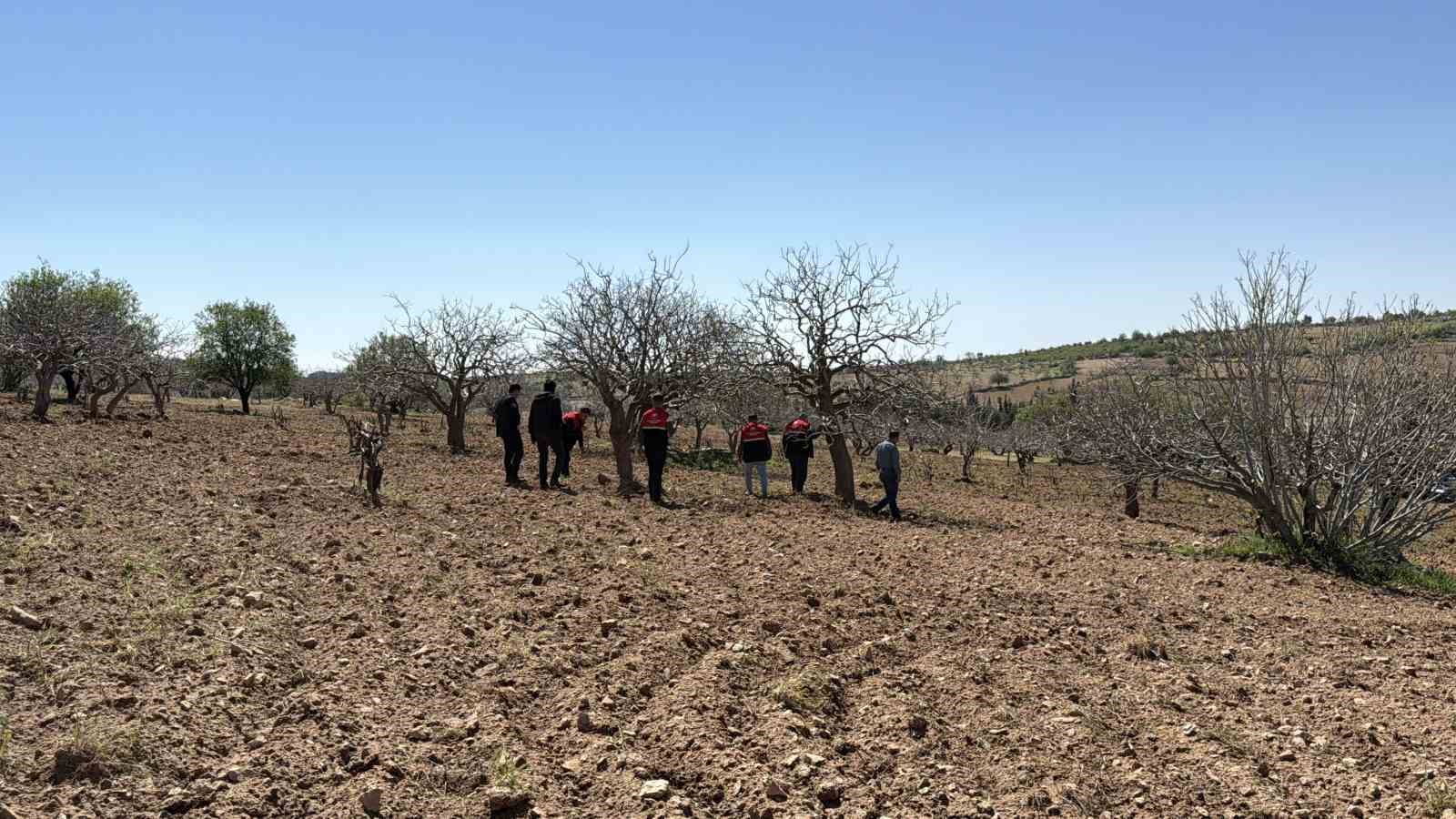 Dolu sonrası hasar tespit çalışmaları başladı

