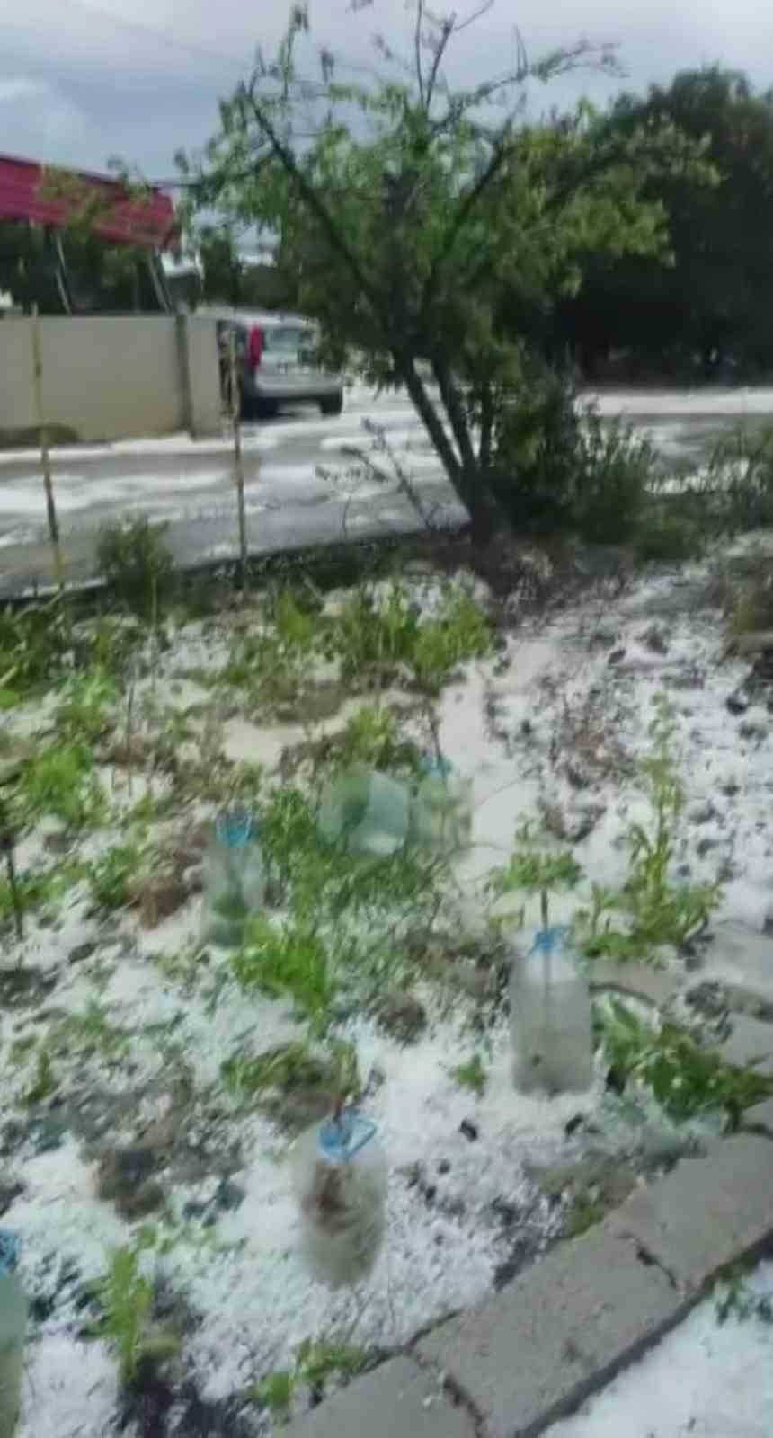 Dolu yağışı beyaza bürüdü
