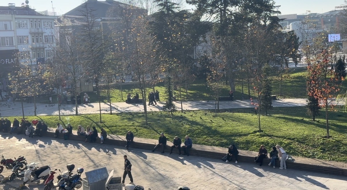 Domuz gribi vakalarında artış
