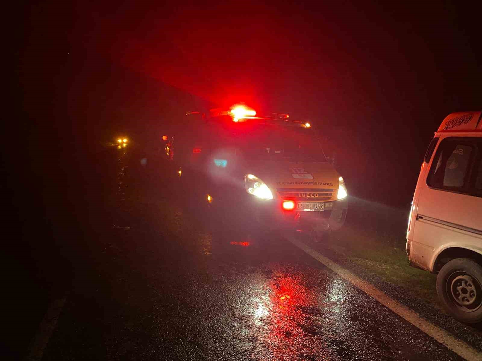 Domuza çarpan otomobil uçuruma yuvarlandı
