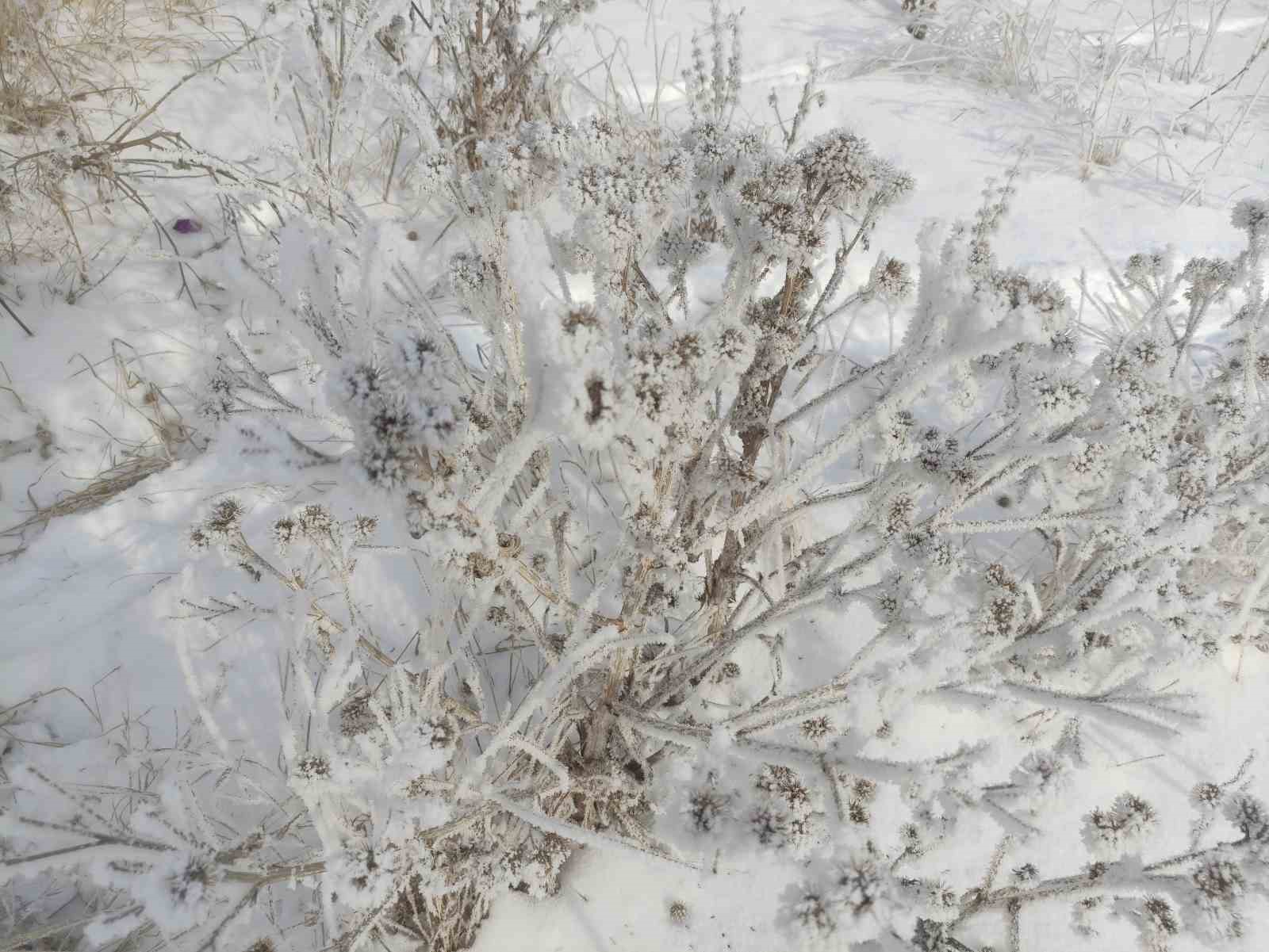 Dondurucu soğuklar mart ayında da etkisini sürdürüyor
