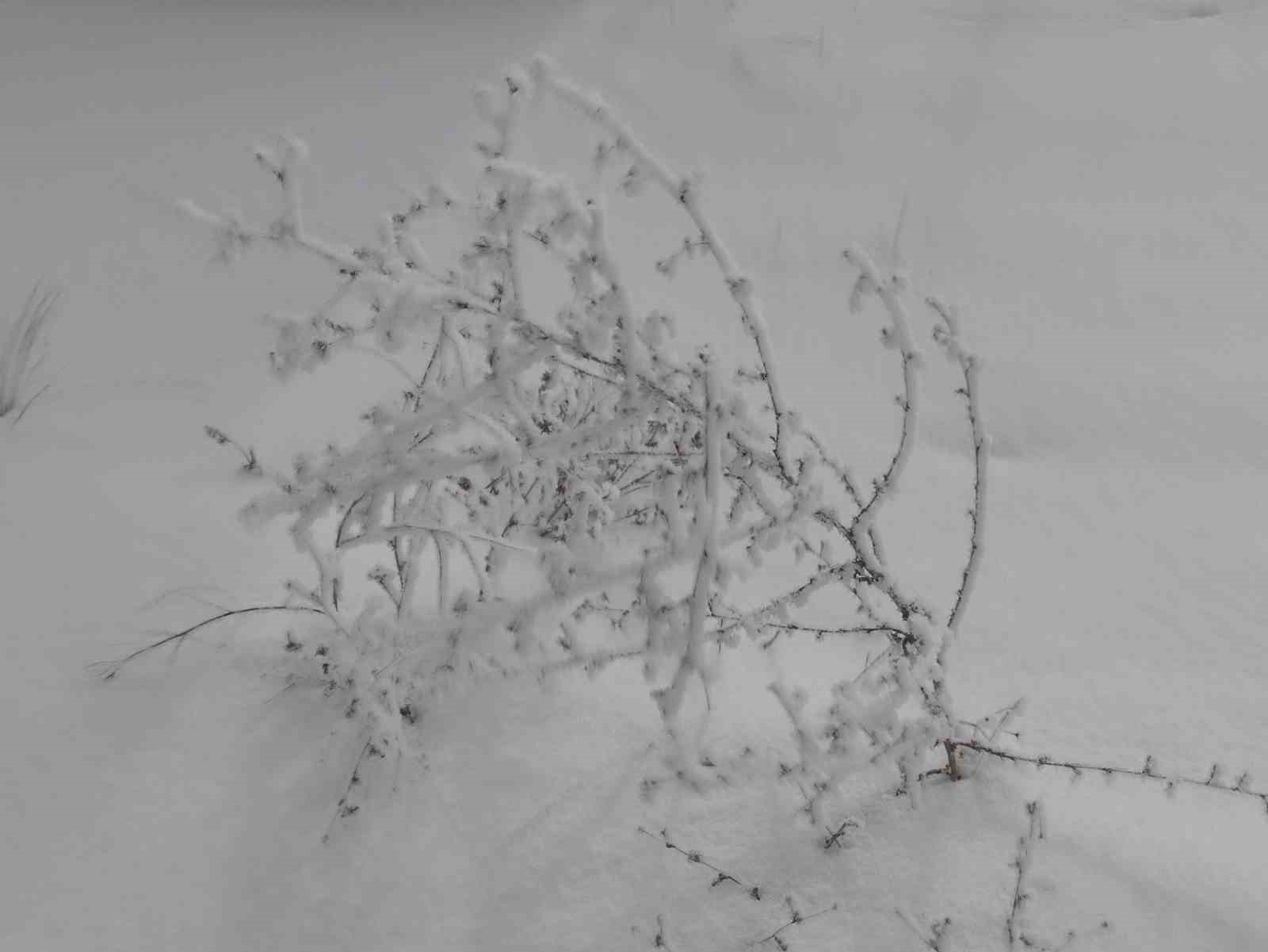 Dondurucu soğuklar mart ayında da etkisini sürdürüyor
