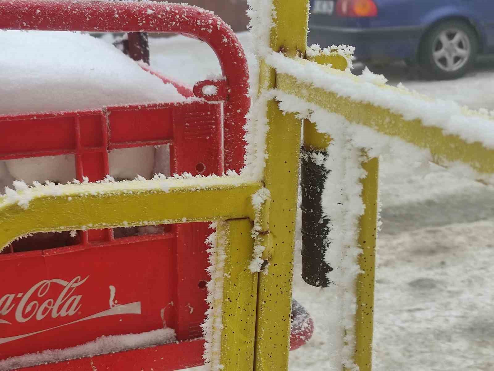 Dondurucu soğukların etkili olduğu Ardahan’da hayat durma noktasına geldi
