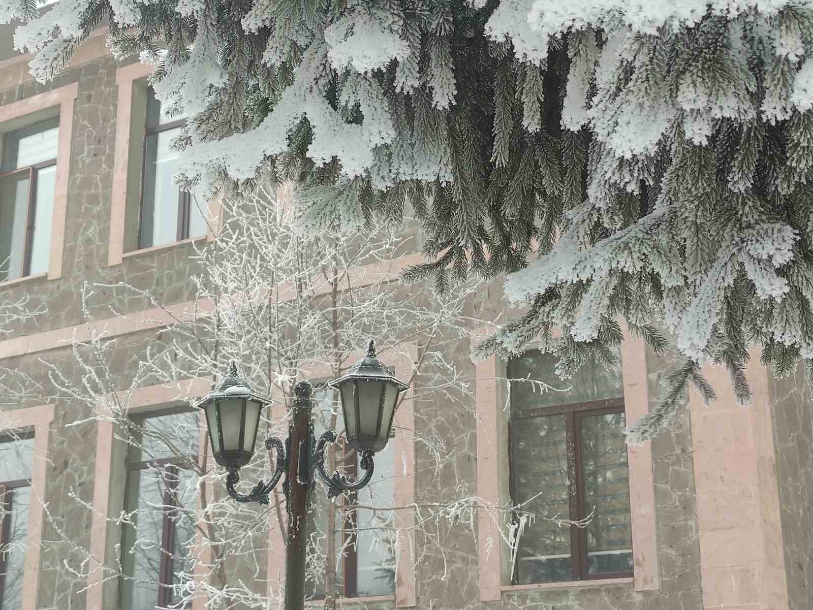 Dondurucu soğukların etkili olduğu Ardahan’da hayat durma noktasına geldi

