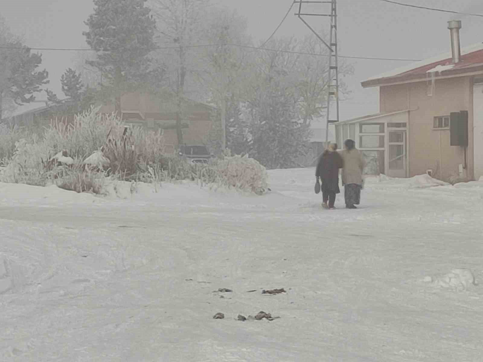 Dondurucu soğukların etkili olduğu Ardahan’da hayat durma noktasına geldi

