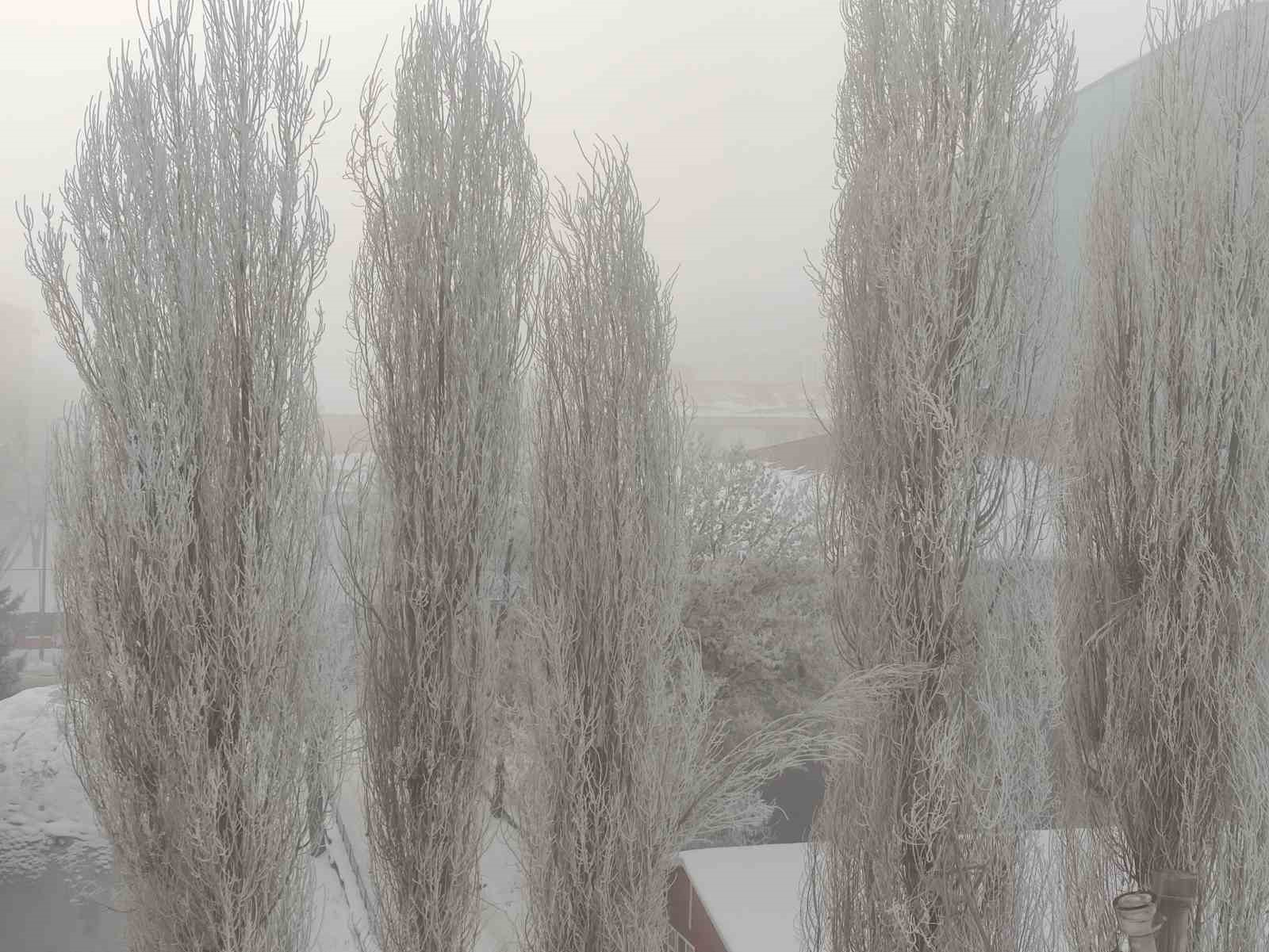 Dondurucu soğukların etkili olduğu Ardahan’da hayat durma noktasına geldi
