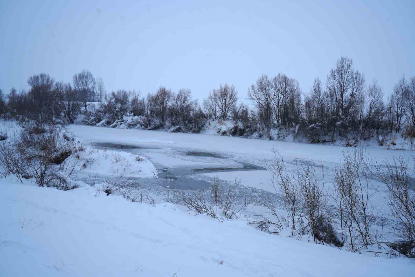 Dondurucu soğukların hakim olduğu Muş’ta Karasu Nehri buz tuttu

