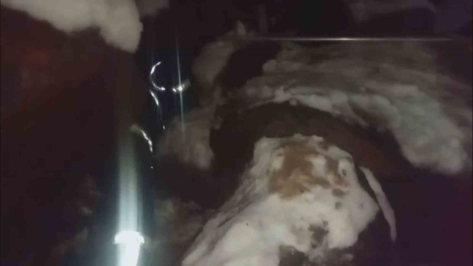 Dondurucu soğukta ölümü bekleyen yavru köpekleri itfaiye kurtardı
