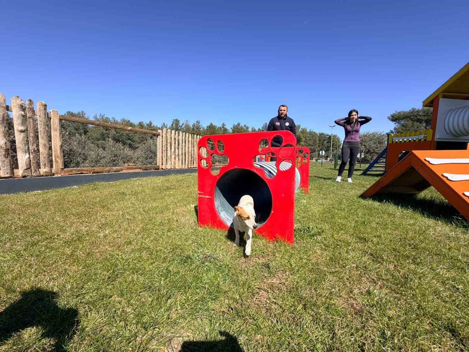 Duacı Mahallesi’nde Pati Park hizmet açıldı
