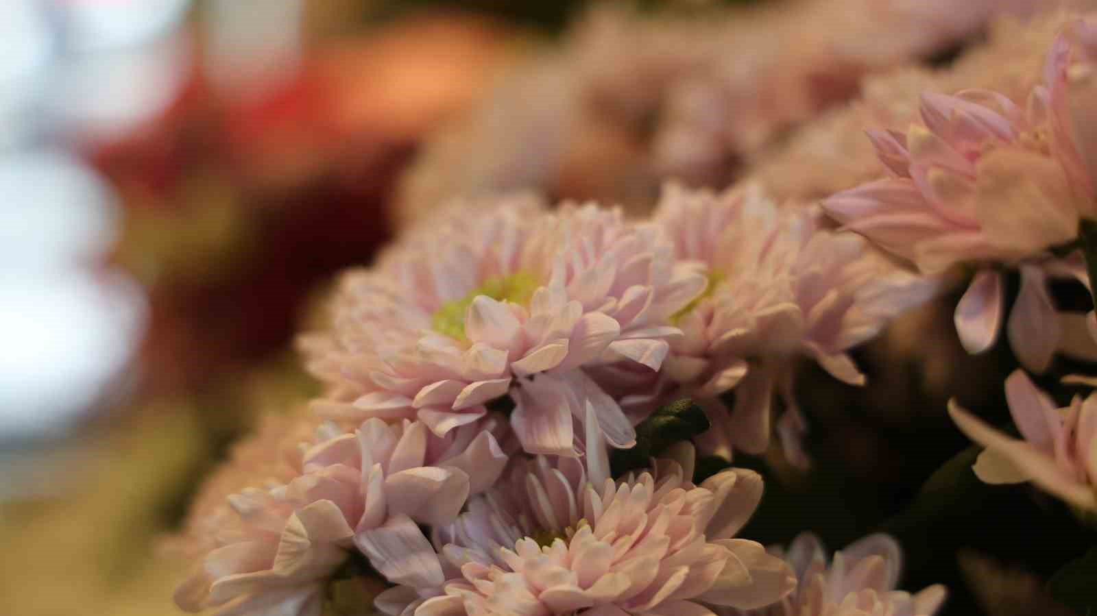 Düğün sezonu öncesi çiçekçilerde yoğun mesai
