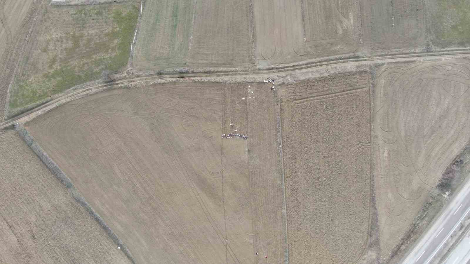 Dünyaca ünlü Taşköprü sarımsağının ekim sezonu erken başladı
Dünyaca ünlü Taşköprü sarımsağının ekim sezonu erken başladı