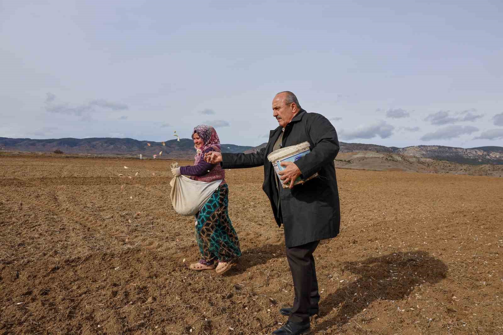 Dünyaca ünlü Taşköprü sarımsağının ekim sezonu erken başladı
Dünyaca ünlü Taşköprü sarımsağının ekim sezonu erken başladı