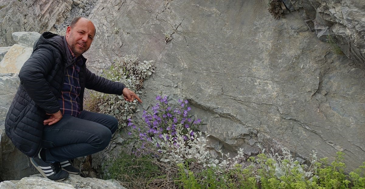 Dünyada sadece Aydın’da yetişen ’Küçük Çan’ yok olma tehlikesiyle karşı karşıya
