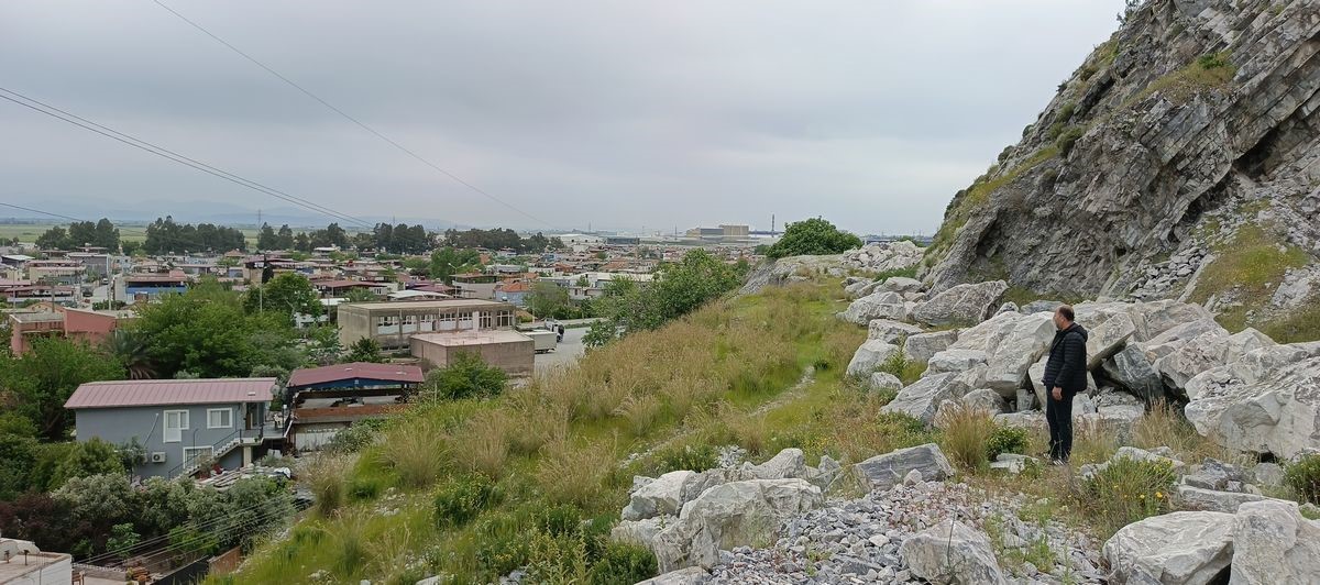 Dünyada sadece Aydın’da yetişen ’Küçük Çan’ yok olma tehlikesiyle karşı karşıya
