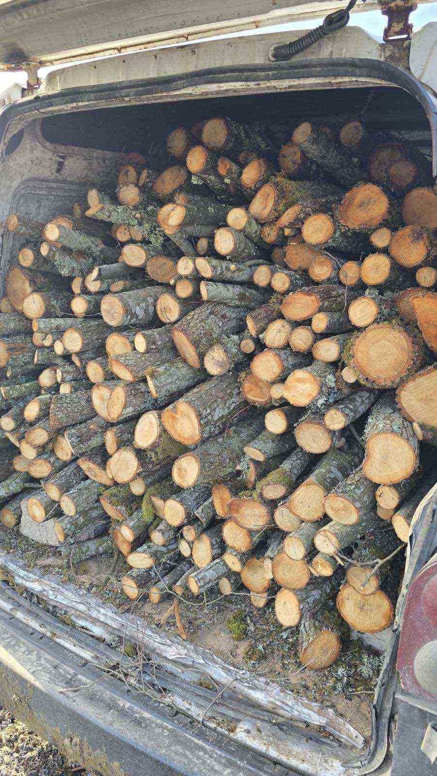 Durdurulan araçta kaçak kesildiği belirlenen 4 ster odun ele geçirildi
