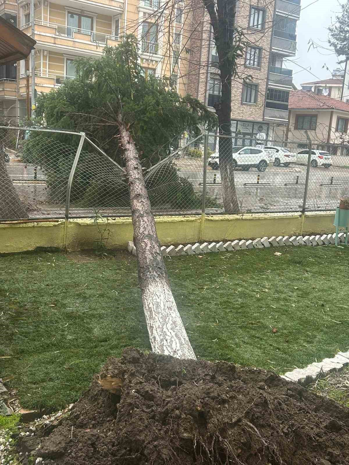 Dursunbey’de fırtına ağaçları ve çatıları uçurdu
