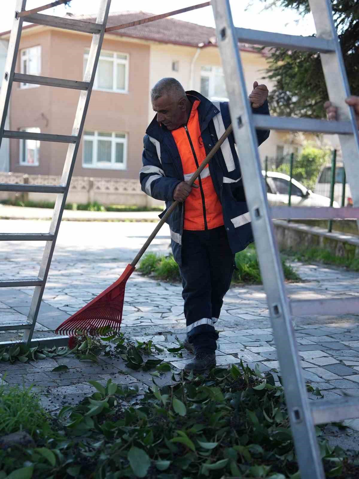 Düzce Belediyesi ağaçları bahara hazırlıyor
