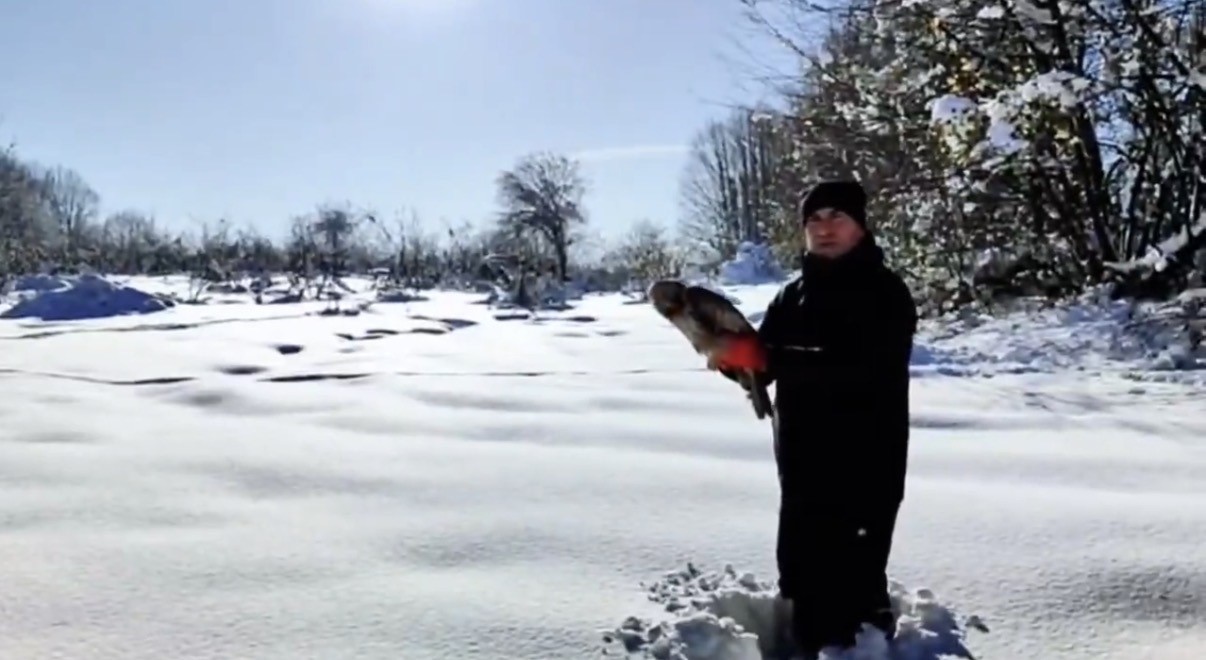 Düzce’de 211 yaban hayvanı doğaya salındı
