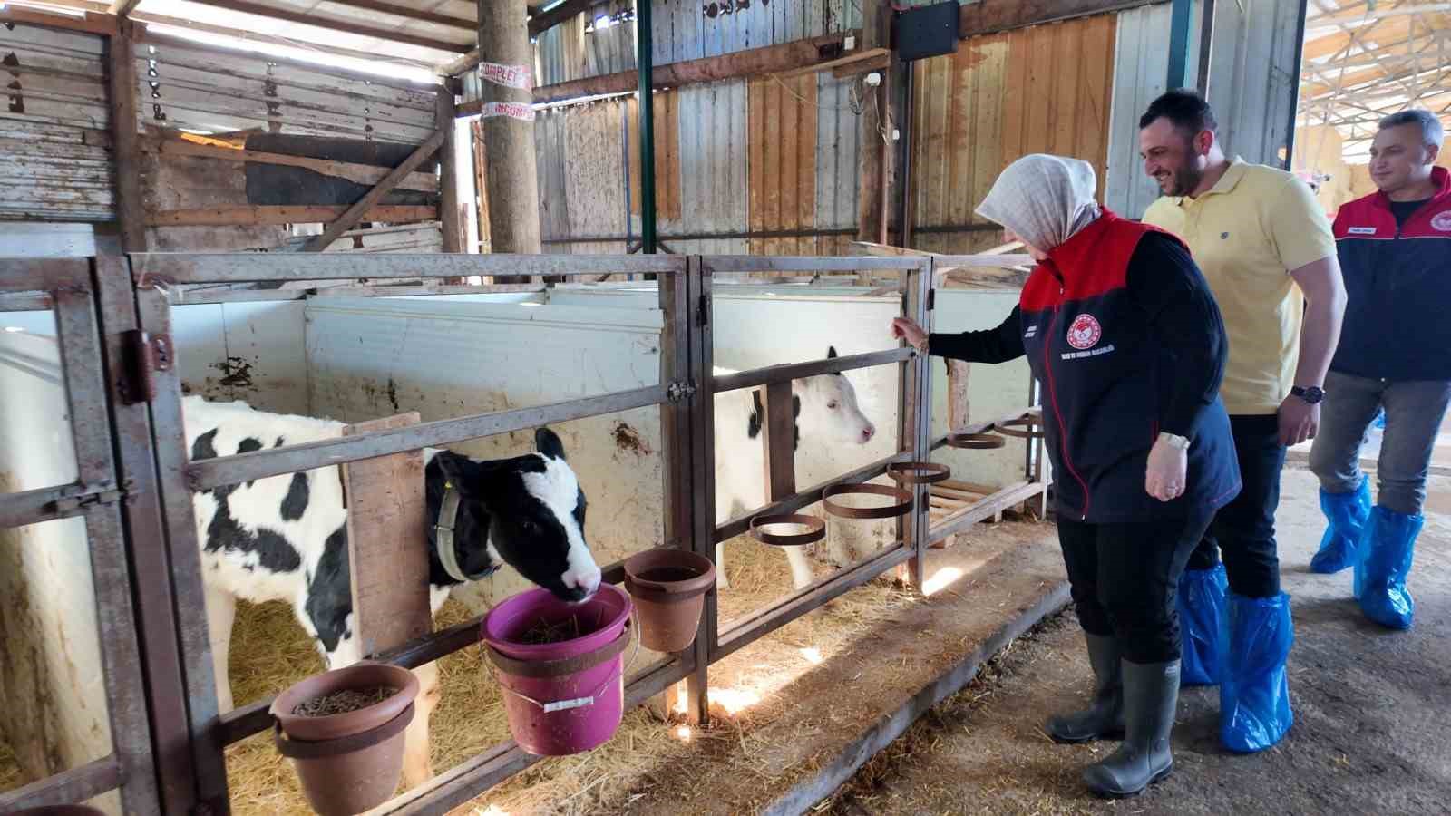 Düzce’de ari işletme sayısı artıyor
Düzce’de ari işletme sayısı artıyor