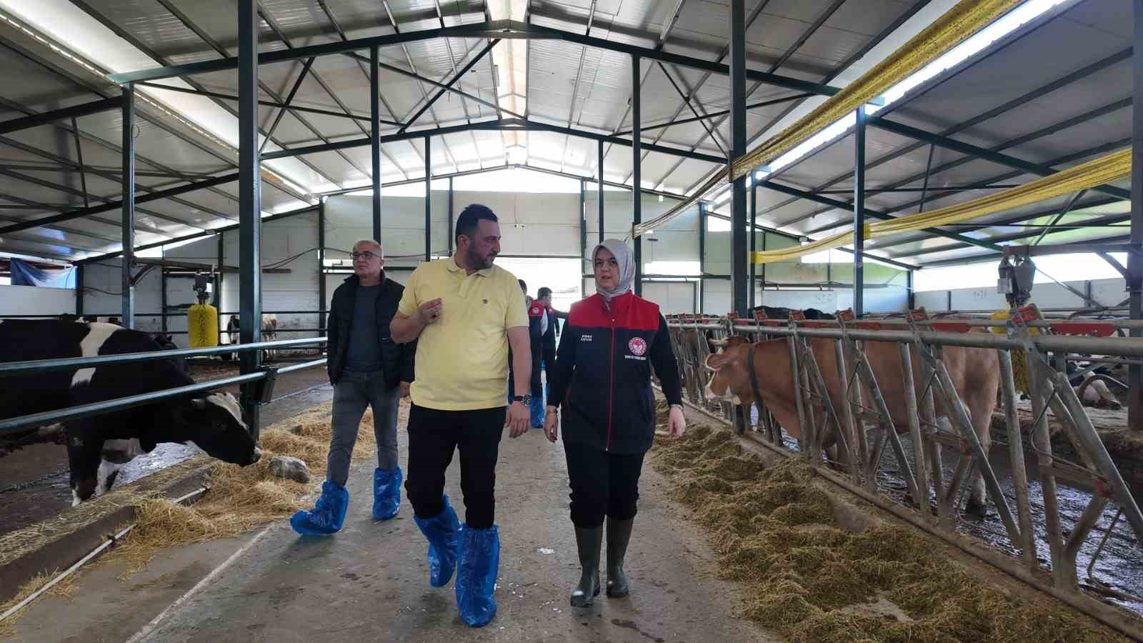 Düzce’de ari işletme sayısı artıyor
Düzce’de ari işletme sayısı artıyor