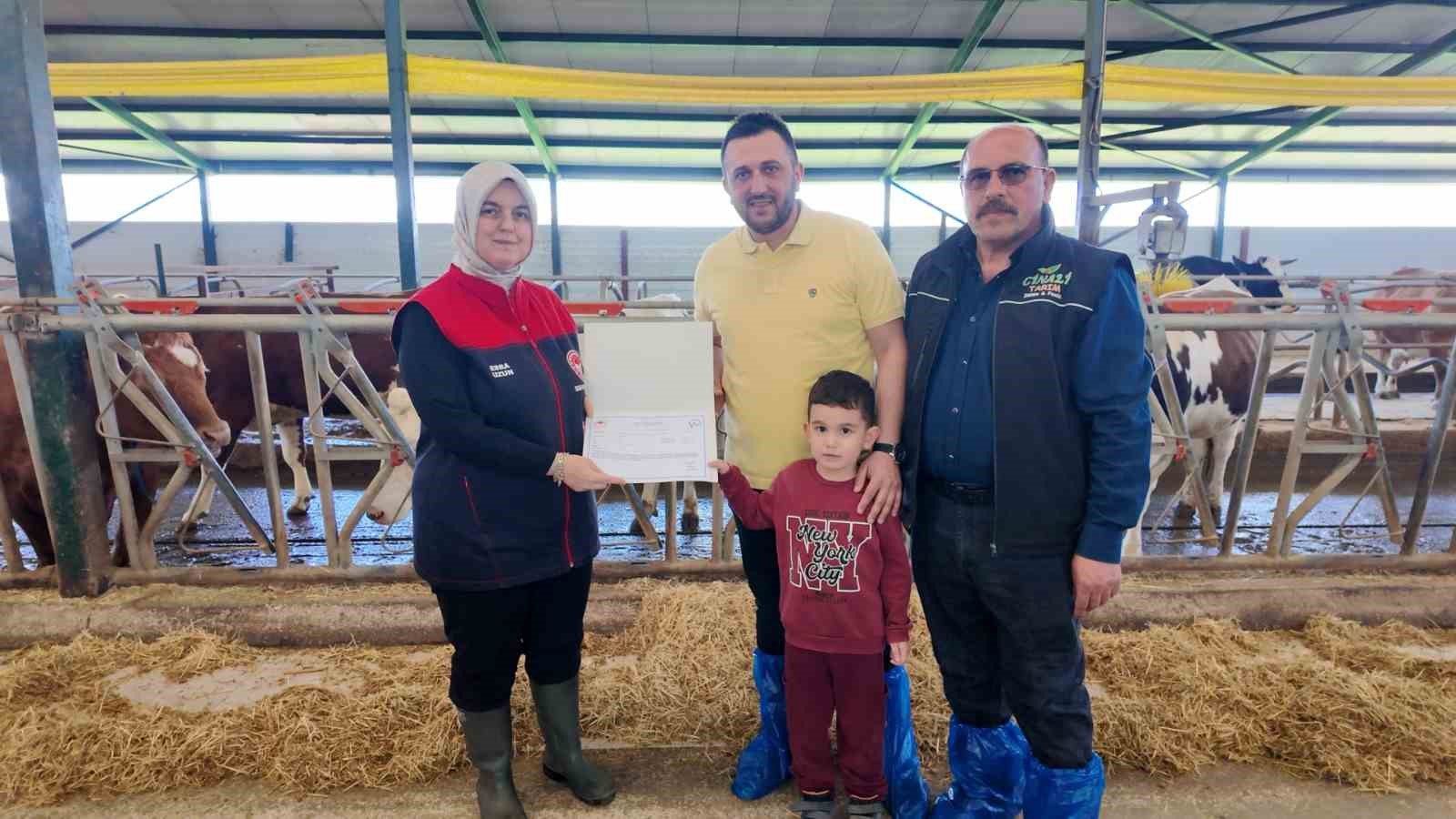 Düzce’de ari işletme sayısı artıyor
Düzce’de ari işletme sayısı artıyor