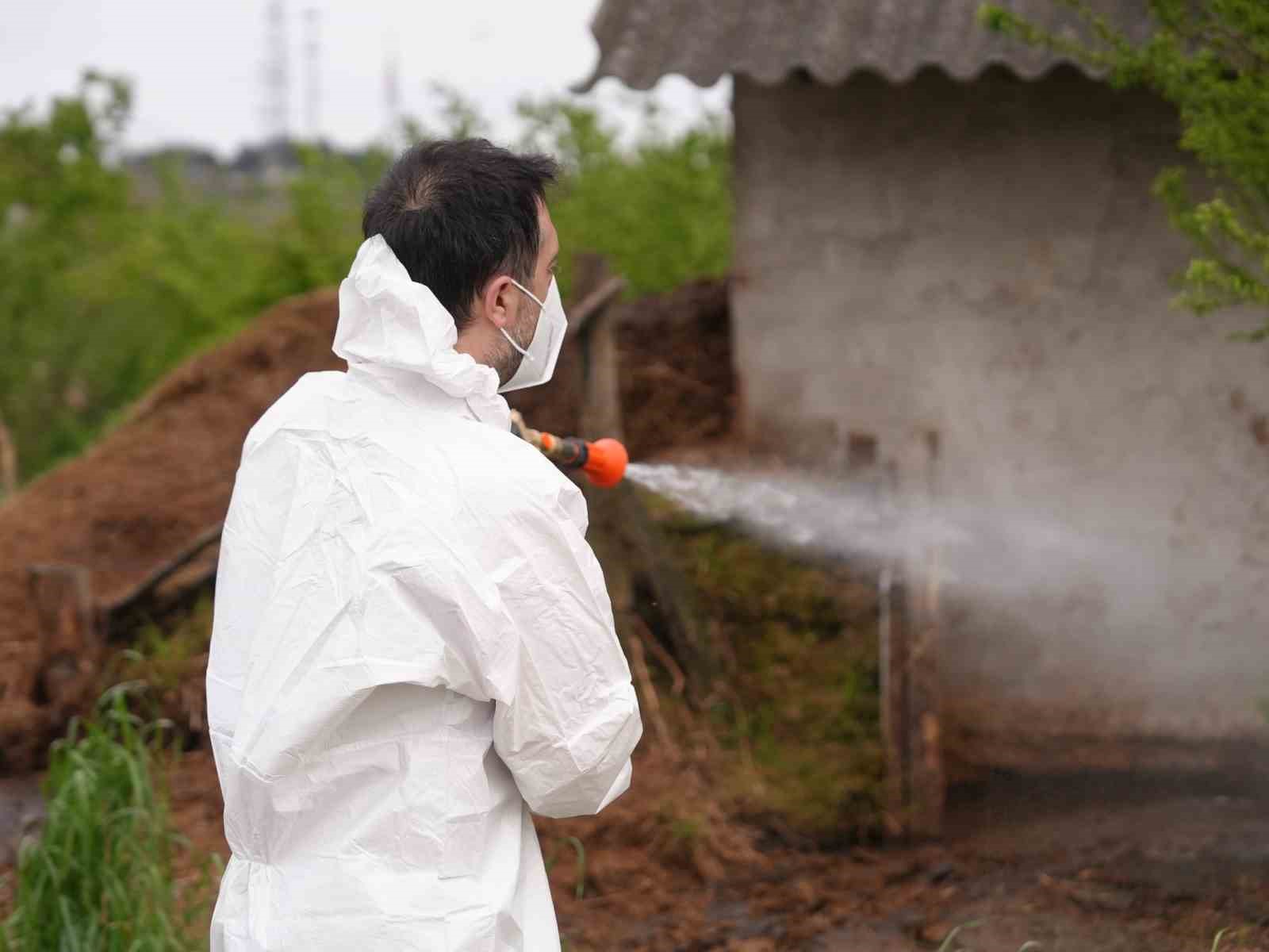 Düzce’de daha uçmadan bitirmek için mücadele başladı
