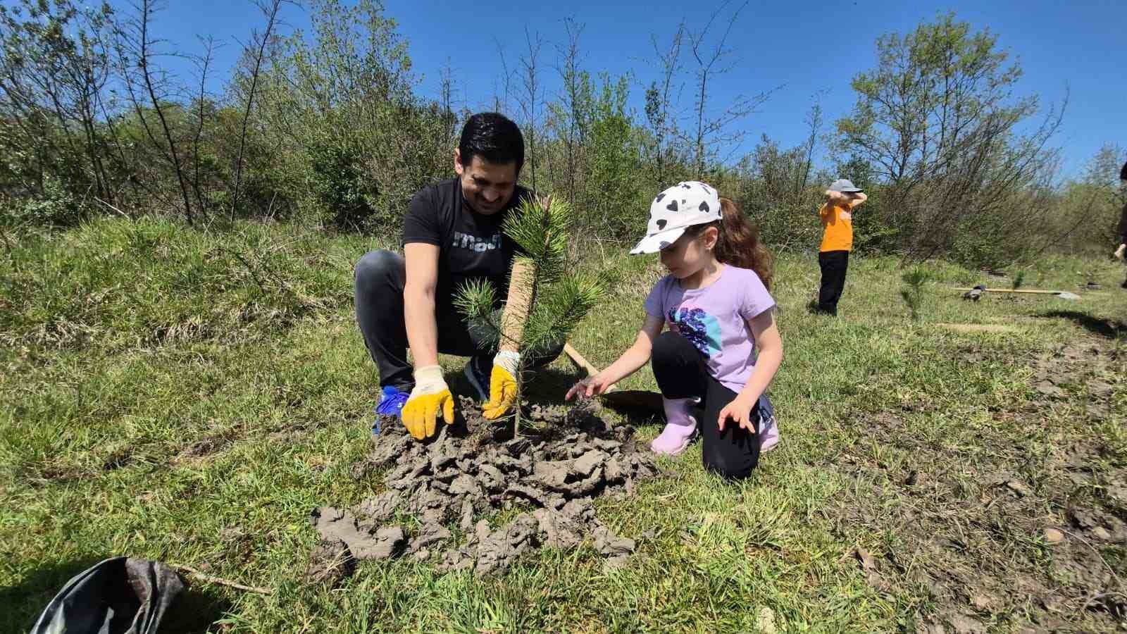 Düzce’de Devlet Bahçeli Hatıra Ormanı’na fidan dikildi
