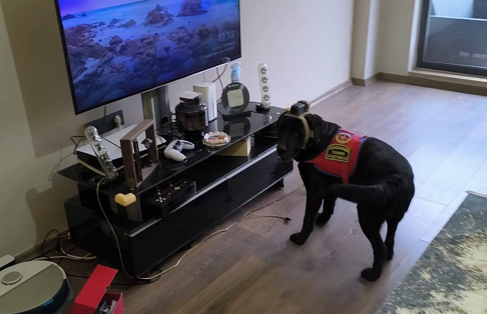 Düzce’de suç örgütü operasyonu: 36 gözaltı
