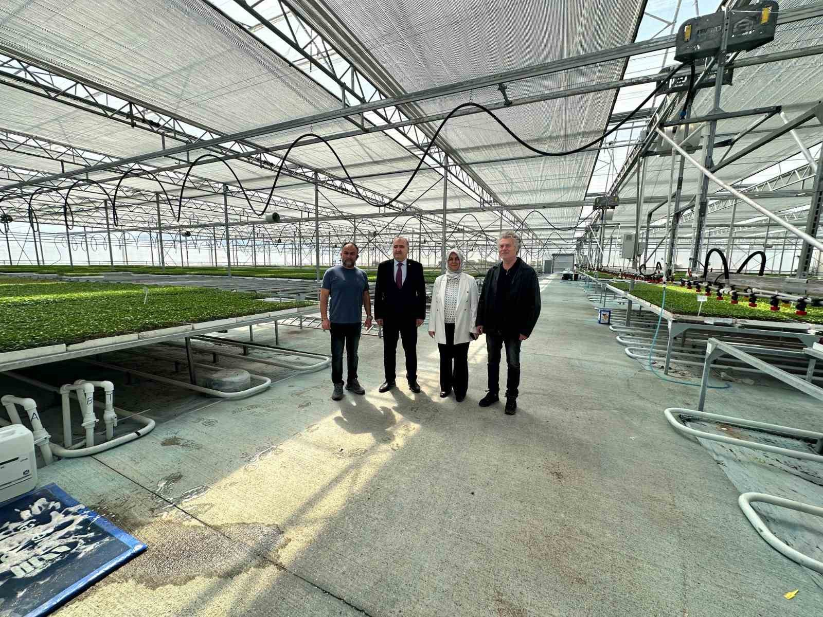 Düzce’den Seracılık İhtisas Organize Tarım Bölgesi’nde inceleme
